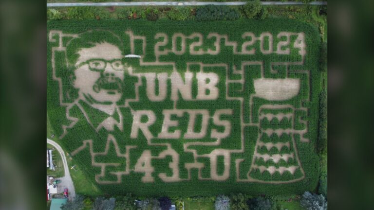 Un labyrinthe de maïs rend hommage à la saison dorée sans point d'une équipe de hockey du Nouveau-Brunswick