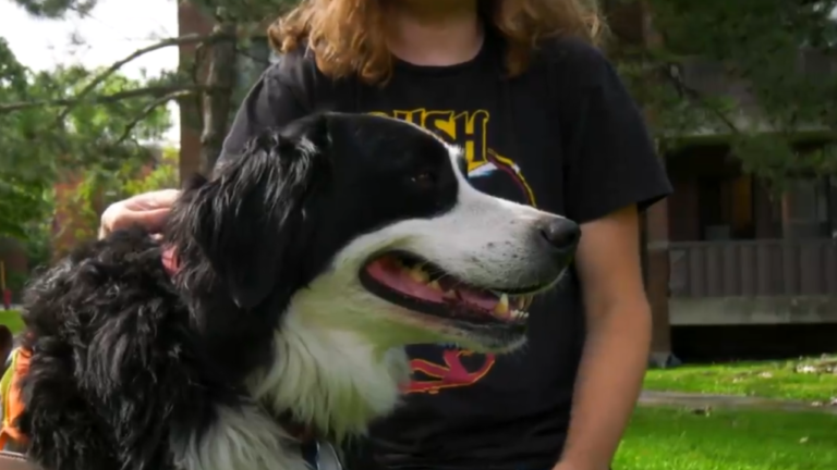 Une pétition demande une subvention pour les chiens d'assistance aux personnes autistes au Québec