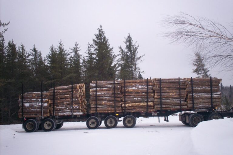 Une remorque forestière fabriquée à Thunder Bay arrive sur le marché