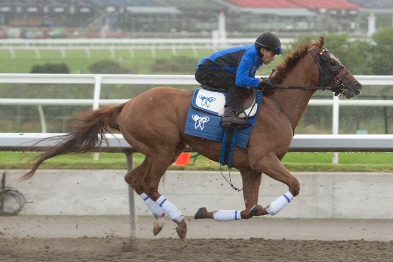 Vitality remporte la course du Prince of Wales Stakes grâce à une belle ligne droite