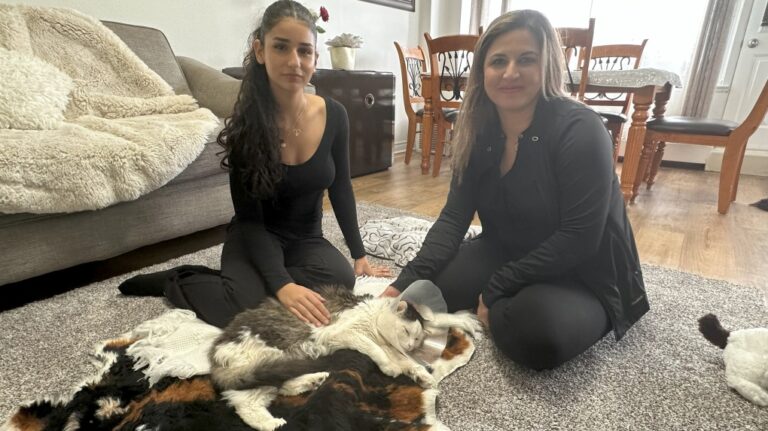 La famille se retrouve avec une facture vétérinaire de 7 000 $ après que le chat ait survécu à la chute du 11e étage