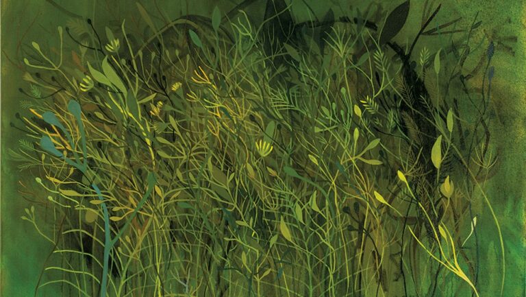 Sage Tucker-Ketcham sur « Sous l'eau et dans les bois »