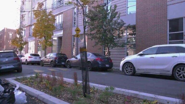 32 000 $ pour un arbre ? Un entrepreneur qualifie de ridicule le projet du Plateau