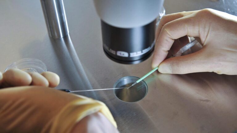 Des engagements pour couvrir les traitements de fertilité alors que les élections se déroulent partout au Canada
