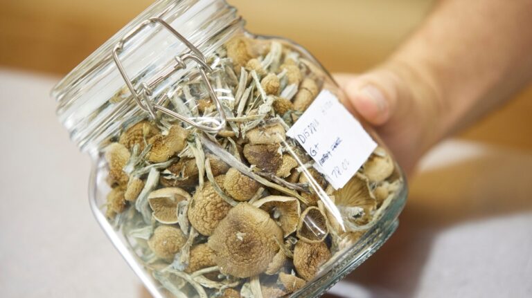 La religion québécoise veut la bénédiction de Santé Canada pour utiliser les champignons magiques dans les cérémonies