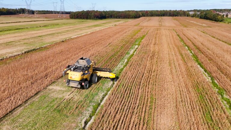 Les agricultrices du Québec aux prises avec une surcharge mentale