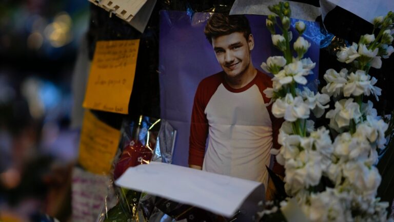 One Direction a été le premier boys band sur Internet, et Liam Payne en a joué un rôle essentiel