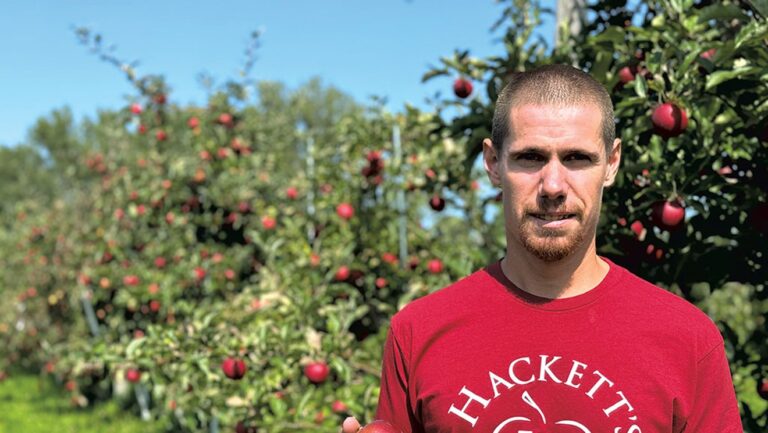 Questions et réponses : pommes et beignets au verger Hackett à South Hero