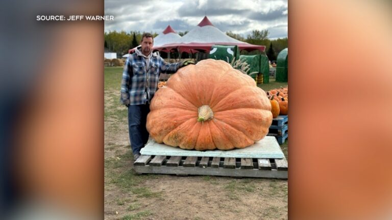 Un agriculteur du Nord de l’Ontario bat des records de citrouilles géantes et remporte les premiers prix d’un concours