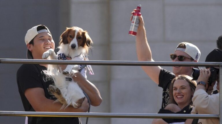 Los Angeles Dodgers' Shohei Ohtani holds his dog Decoy during the Los Angeles Dodgers baseball World Series championship parade Friday, Nov. 1, 2024, in Los Angeles. (AP Photo/Jae C. Hong)
