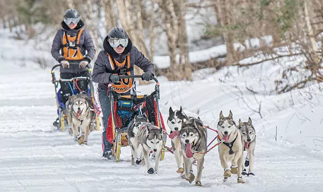 Courses de chiens de traîneau sur le sentier ferroviaire de Lamoille Valley - AVEC LA COURTOISIE DE HEATHER PEATMAN