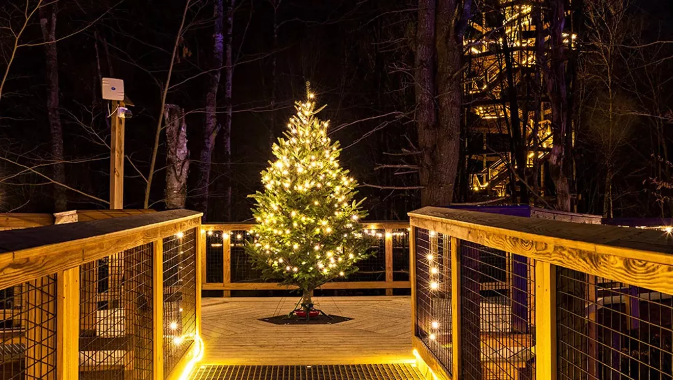 Magnifique 7 : à voir, à faire absolument, du 20 au 27 novembre