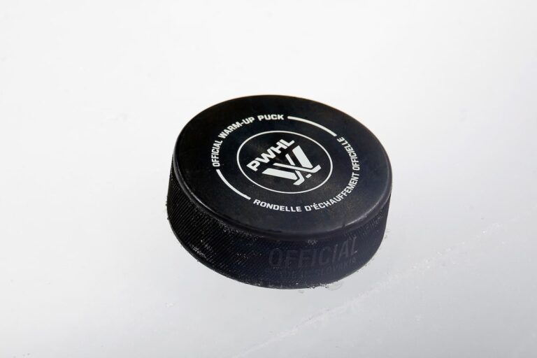 Electronic Arts ajoute les équipes de la PWHL au jeu vidéo NHL 25