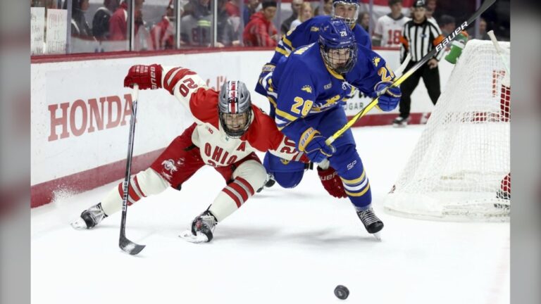 Ohio St. forward Aiden Hansen-Bukata (20) and Lake Superior St. forward John Herrington (28) skate after the puck during an NCAA hockey game on Nov. 2, 2024, in Columbus, Ohio. (AP Photo/Kirk Irwin)