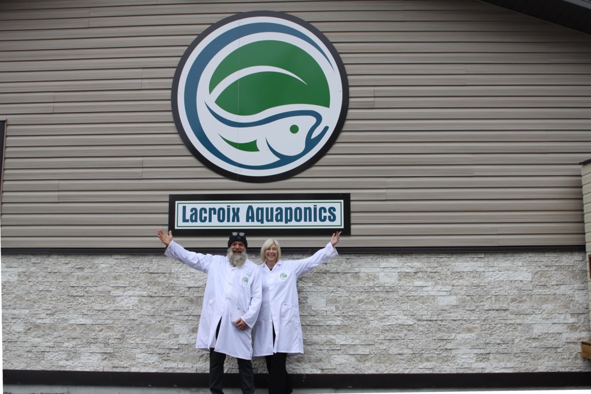 Lacroix Aquaponics veut faire sensation