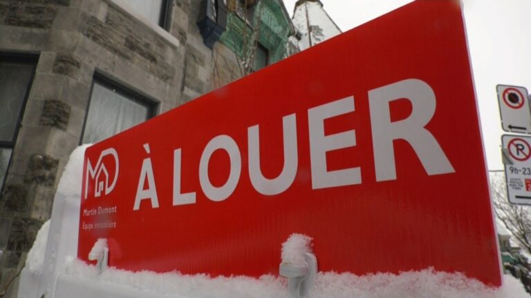 Les affaires devant le Tribunal du logement du Québec s'éternisent et peuvent prendre des « années » à résoudre