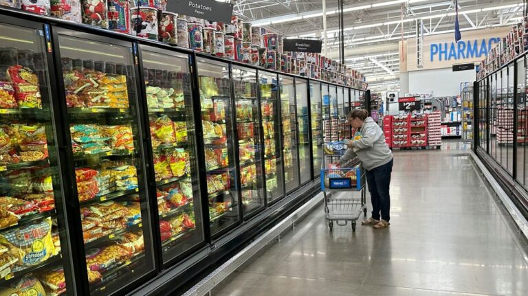 A lone shopper places items in her cart in the frozen food aisle of a Walmart store on November 14, in Englewood, Colorado. Walmart keeps growing with shoppers making more than US$100,000 a year. (David Zalubowski / AP via CNN Newsource)