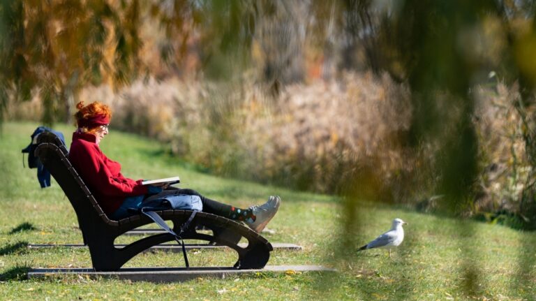Montréal connaîtra un autre échauffement en milieu de semaine dans les années 20… en novembre