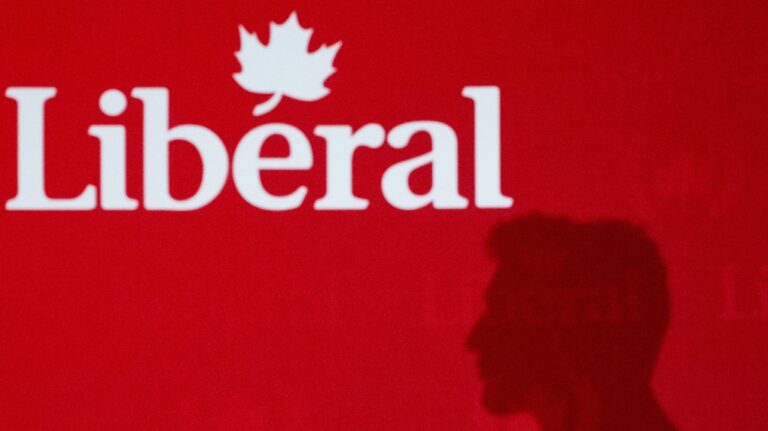 Qui devrait diriger les libéraux ? "Aucune de ces réponses", selon un sondage