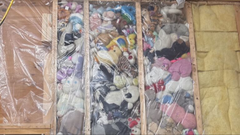 Un homme de Colombie-Britannique découvre 115 animaux en peluche cachés derrière un mur et commence à en faire don à des personnes du monde entier