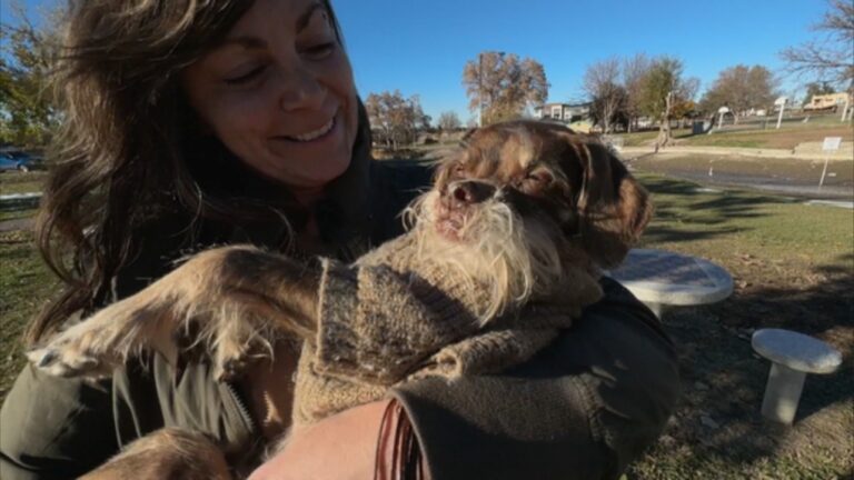 Colorado woman was shocked to find her dog's wheelchair missing from the porch Tuesday morning. (KCNC via CNN Newsource)