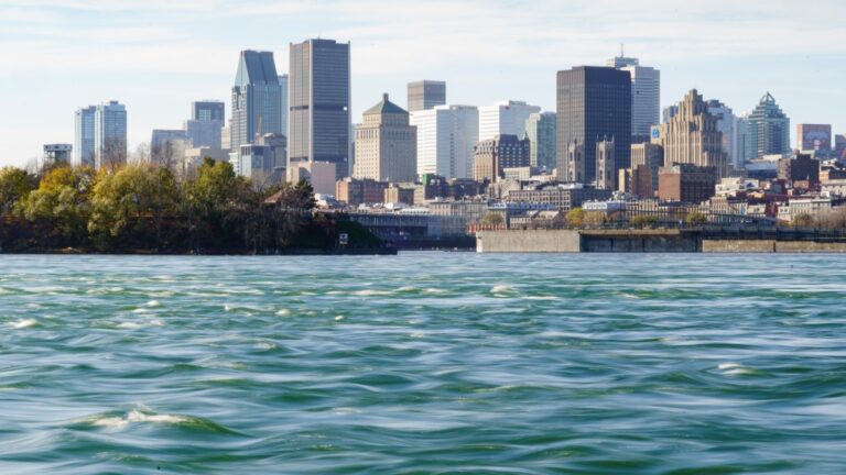 Une pétition d'un fan de RFK Jr. incite le conseil municipal de Montréal à voter sur la fluoration de l'eau
