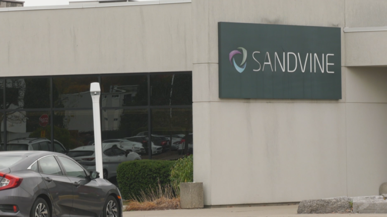 Waterloo, Ontario. la société technologique Sandvine a obtenu une ordonnance du tribunal pour explorer des opportunités de refinancement, de vente et d'investissement