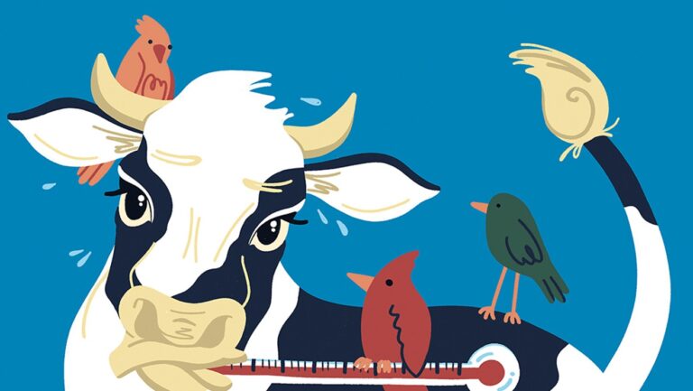 Le Vermont va commencer à tester l'approvisionnement en lait pour la grippe aviaire