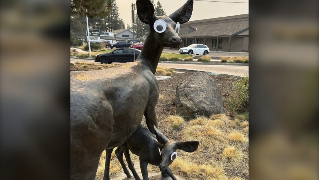 Googly eyes placed on a public art sculpture in Bend, Ore. (City of Bend, Oregon, via AP)