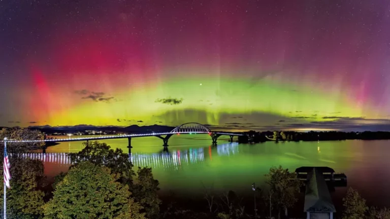 Starry Eyed : une revue photographique de 2024