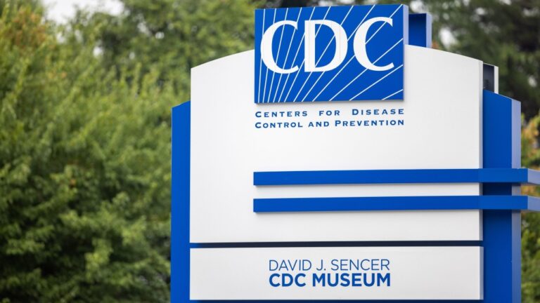 The U.S. Centers for Disease Control and Prevention says a patient in Louisiana has been hospitalized with a severe case of H5N1 bird flu. (Nathan Posner / Anadolu Agency / Getty Images via CNN Newsource)