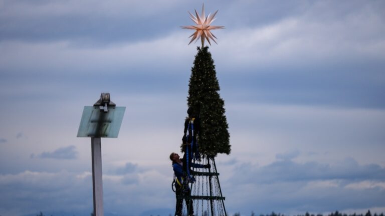 Certains vendeurs d'arbres font face à une pénurie à l'approche de Noël