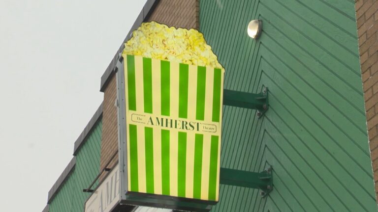 « C'est un peu surréaliste pour moi de posséder une salle de cinéma » : le cinéma NS fait tourner les caméras