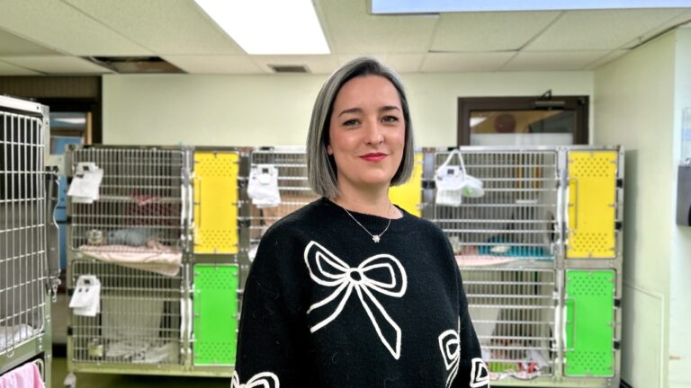 La SPCA de Montréal à pleine capacité malgré une hausse des abandons d'animaux de compagnie