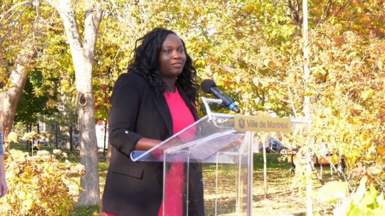 Le maire de l'arrondissement de CDN-NDG se portera candidat à la direction de Projet Montréal