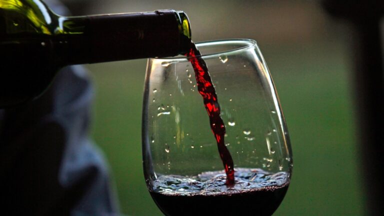 a man pours a glass of Erasmo wine at the Reserva de Caliboro vineyard in Maule Valley, Chile. A bold new wave of independent vintners are challenging Chile's reputation for producing oceans of agreeable but predictable wines. (AP Photo/Luis Hidalgo)