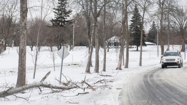 Les chutes de neige au Québec entraînent de multiples accidents de la route