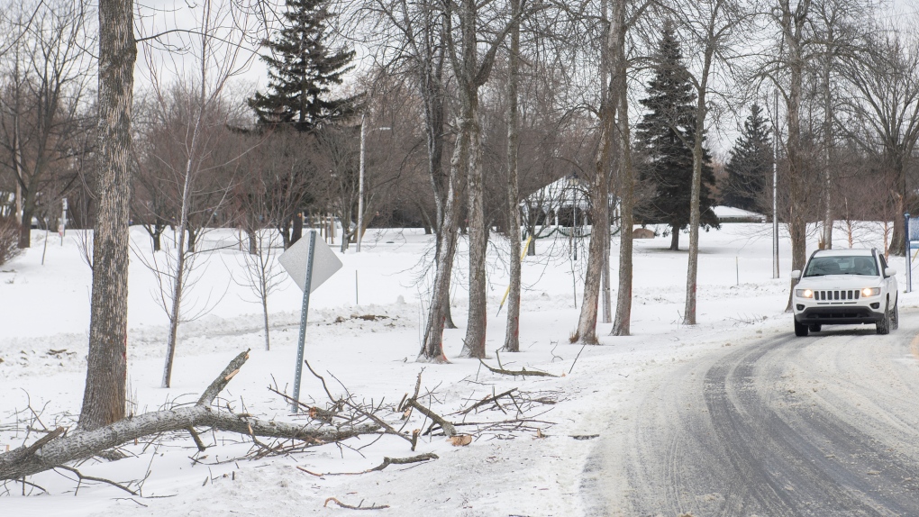 Les chutes de neige au Québec entraînent de multiples accidents de la route
