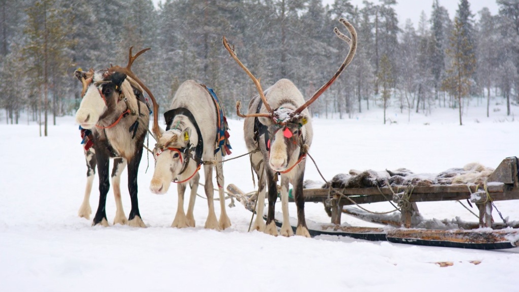 Les vétérans de l'Î.-P.-É. donnent le feu vert aux rennes du Père Noël pour faire le voyage du réveillon de Noël