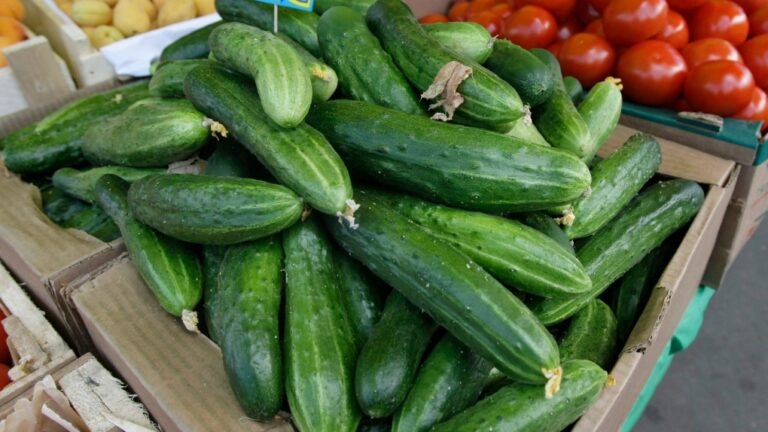 Cucumbers, tomatoes and fruits are displayed at a market in Moscow, Russia, Friday, June 10, 2011. (The Canadian Press)