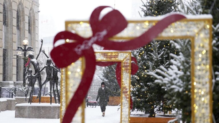 People make their way through the falling snow in downtown Ottawa, Wednesday, Dec. 4, 2024. THE CANADIAN PRESS/Sean Kilpatrick