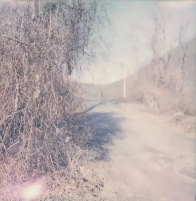 « ÎLE #24 » de Susan Mikula - AUTORISATION