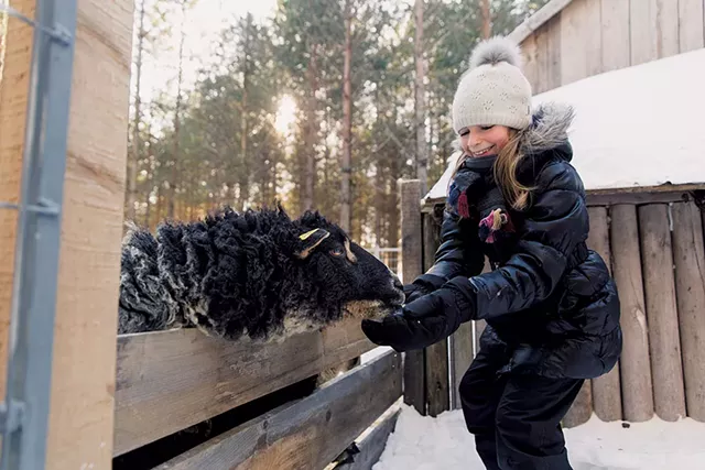 Domaine Enchanteur - COURTOISIE D'ETIENNE BOISVERT