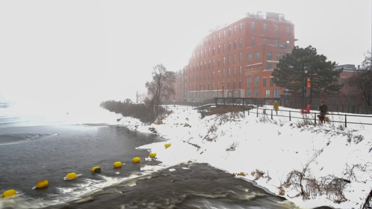 D'autoroute industrielle à paradis des promoteurs, le canal Lachine à Montréal fête ses 200 ans