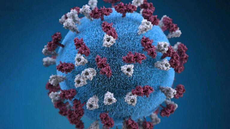 Le Nouveau-Brunswick déclare l’épidémie de rougeole terminée