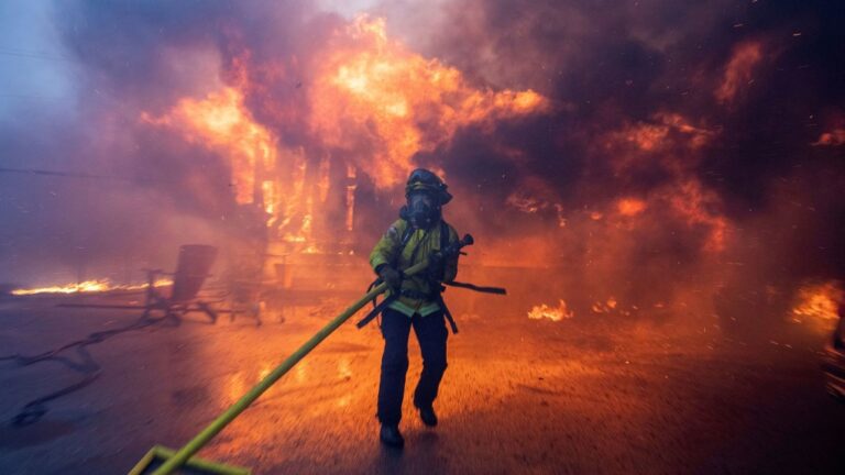 Les incendies de forêt constituent une menace pour la santé mentale qui peut persister même des années plus tard