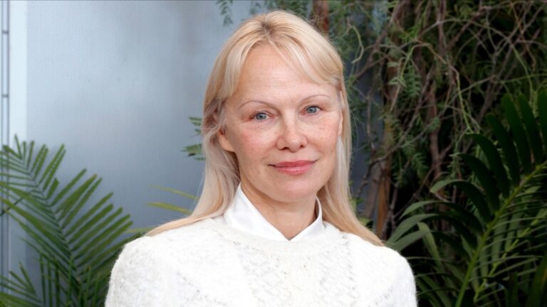 Pamela Anderson dit avoir été confrontée dans l'avion à un passager en colère qui pensait qu'elle était quelqu'un d'autre