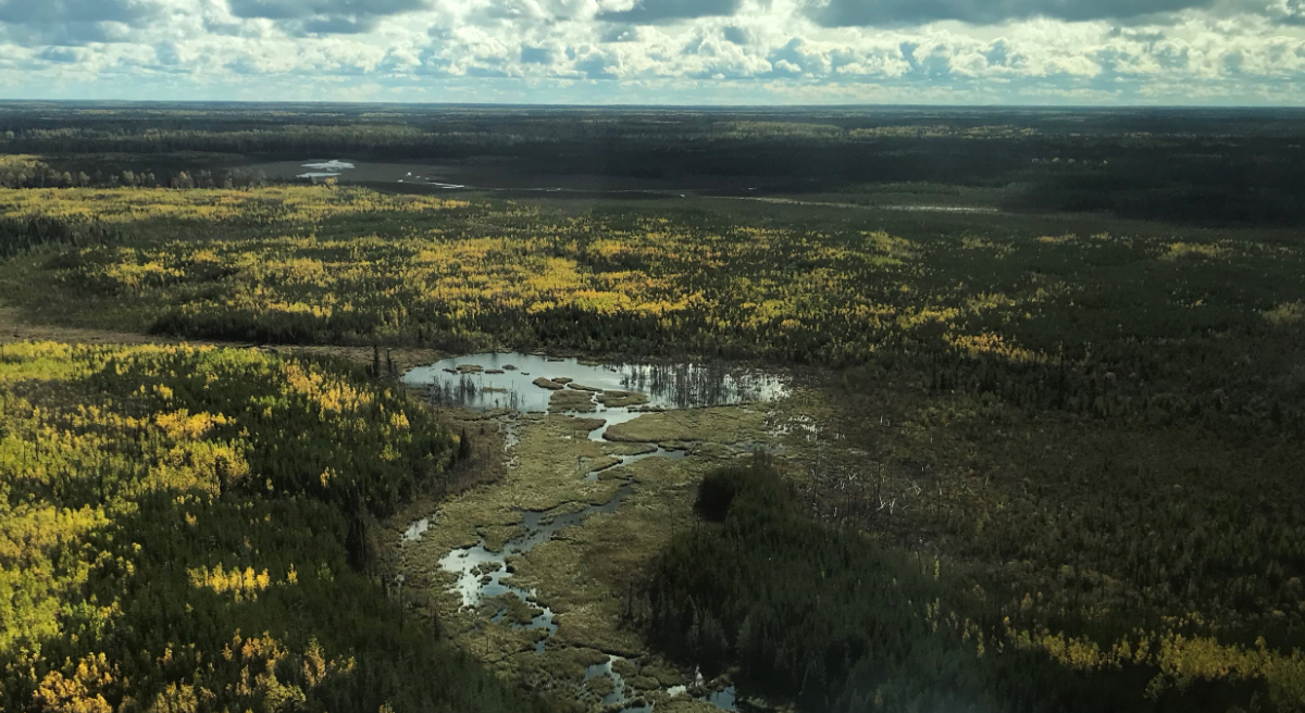 Premier ministre et Première nation Aroland sur le point de faire une annonce majeure