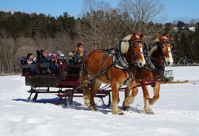 Magic of Maple - Courtoisie