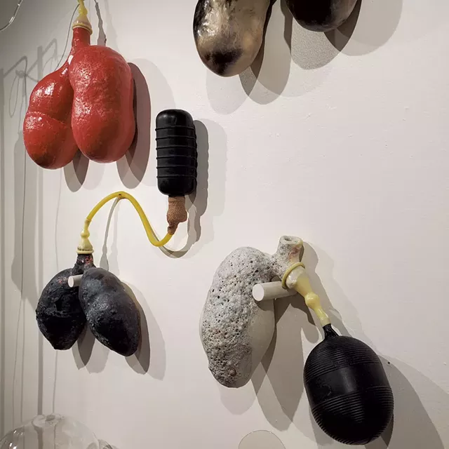 Sculptures de "Transmutation" par Dasha Kalisz - Gracieuseté